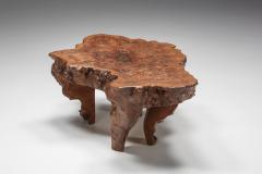 Burl Wood Coffee Table Wabi Sabi 1850s - 2163235