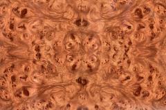 Burl Wood and Brass Trunk End Tables Jean Claude Mahey 1970 - 2359847