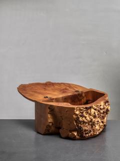 Burl wood box - 3723837