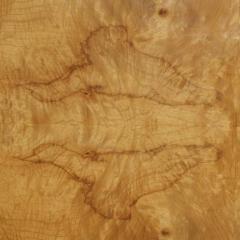 Burled Olivewood Night Stand - 2614699
