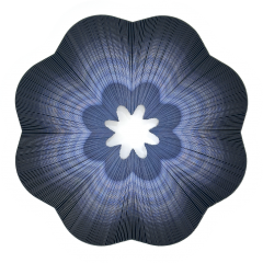 Byeong Sam Jeon Blossom 2 - 4389098