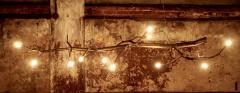 CP Lighting Christopher Poehlmann 9 newGROWTH Chandelier - 748616