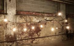 CP Lighting Christopher Poehlmann 9 newGROWTH Chandelier - 748618