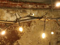 CP Lighting Christopher Poehlmann 9 newGROWTH Chandelier - 748619