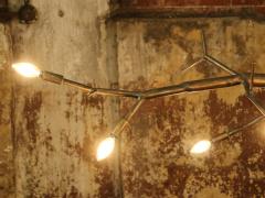 CP Lighting Christopher Poehlmann 9 newGROWTH Chandelier - 748620