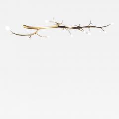 CP Lighting Christopher Poehlmann 9 newGROWTH Chandelier - 749364