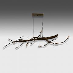 CP Lighting Christopher Poehlmann Christopher Poehlmann Contemporary Massive Modern Sculptural Branch Chandelier - 3966492