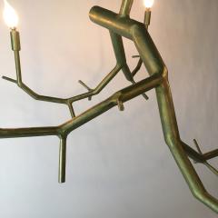 CP Lighting Christopher Poehlmann newGROWTH 5 light Green Branchelier - 735970