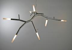 CP Lighting Christopher Poehlmann newGROWTH2 LED Chandelier by Christopher Poehlmann for CP Lighting - 3914546