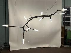 CP Lighting Christopher Poehlmann newGROWTH2 LED Chandelier by Christopher Poehlmann for CP Lighting - 3914554