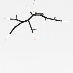 CP Lighting Christopher Poehlmann newGROWTH2 LED Chandelier by Christopher Poehlmann for CP Lighting - 3917275