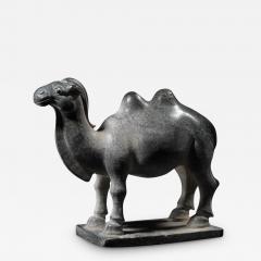 Camel - 2612955