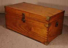 Campaign Chest In Camphor Camphor Wood - 2889165