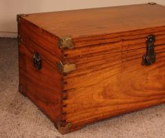 Campaign Chest In Camphor Camphor Wood - 2889170