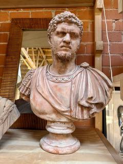Caracalla bust in terracotta 19th Italy - 4311952