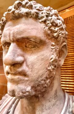 Caracalla bust in terracotta 19th Italy - 4311957