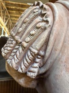 Caracalla bust in terracotta 19th Italy - 4311960