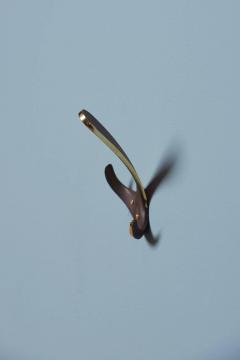 Carl Aub ck Set of Five Patinated 4982 Wall Hooks by Carl Aub ck - 608982