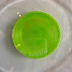 Carla Goldberg Carla Goldberg Glitter Green Cast and Poured Resin 2021 - 2841677