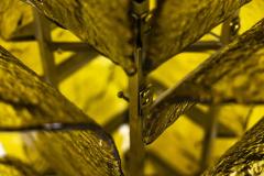 Carlo Nason Carlo Nason LT 320 Cactus Floor Lamp in Yellow Murano for Mazzega Italy 1960s - 4321748