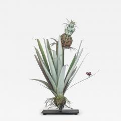 Carmen Almon Pineapple with Bibles Hyperia 2025 - 4312101