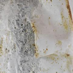 Caroline Blackburn No 496 - 4420396