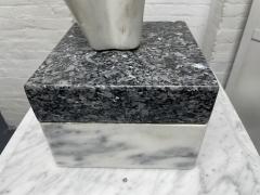 Carrara Marble Sculpture on Pedestal - 2691302