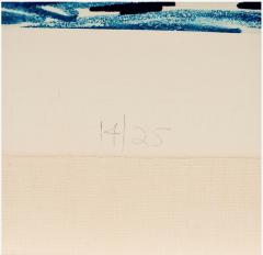 Carroll Dunham Carroll Dunham Colored Etching III Signed and Numbered - 3972718