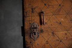 Carved Geometric Vernacular Pine Door Hautes Alpes France 19th Century - 4758698