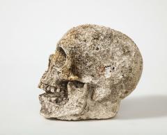 Cast Concrete Sculpture of a Skull - 3228612