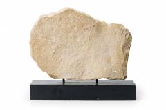 Cast Horse Head Sculpture Mounted on a Wooden Base - 4195647