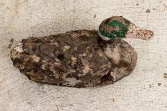 Cast stone mallard or Duck - 2687771