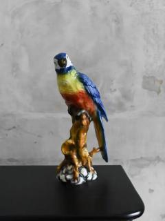 Ceramic Parrot by Ceramiche Boxer Bassano Del Grappa - 4059315