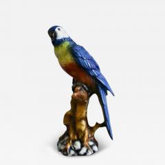 Ceramic Parrot by Ceramiche Boxer Bassano Del Grappa - 4083227