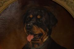 Character Portrait of a Dog Oil Painting - 4516941
