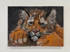 Charles Hasco t Baby Tiger 2025 - 4450465