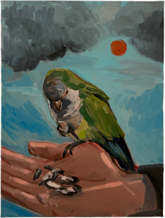 Charles Hasco t Feeding Parakeet 2025 - 4450512