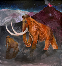 Charles Hasco t Mammoths 2025 - 4450513