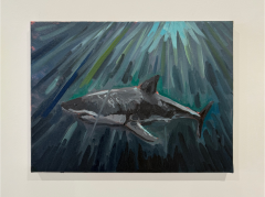 Charles Hasco t Shark 2025 - 4450473