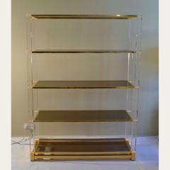 Charles Hollis Jones Shelving System in Lucite Glass and Brass by C Hollis - 2996335