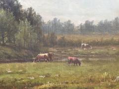 Charles Wilson Knapp Summer  - 4796813