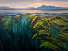 Charlie Easton Above and Below Barkley Sound  - 4417290