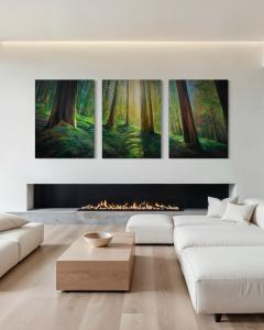Charlie Easton Coastal Old Growth - 4216626