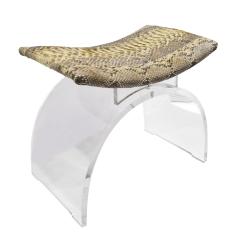 Chic Bench In Lucite With Python Seat 1970s - 1462778