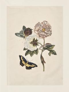 China Trade Painting of Flowers Butterflies circa 1880 - 4555595