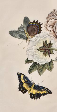 China Trade Painting of Flowers Butterflies circa 1880 - 4555598