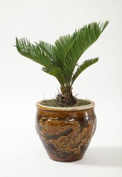 Chinese Art Deco Dragon Cache Pot - 2261562