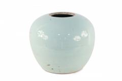 Chinese Celadon and Blue Peacock Porcelain Vase - 4198691