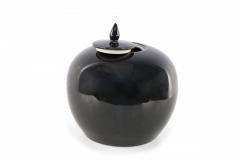 Chinese High Gloss Black Lidded Porcelain Vases - 4520386