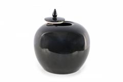 Chinese High Gloss Black Lidded Porcelain Vases - 4520387